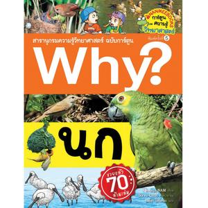Cover - Image